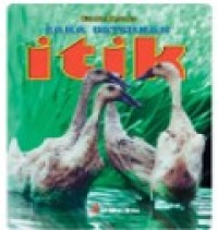Image of Cara Beternak Itik